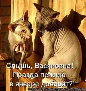 Слышу добавить