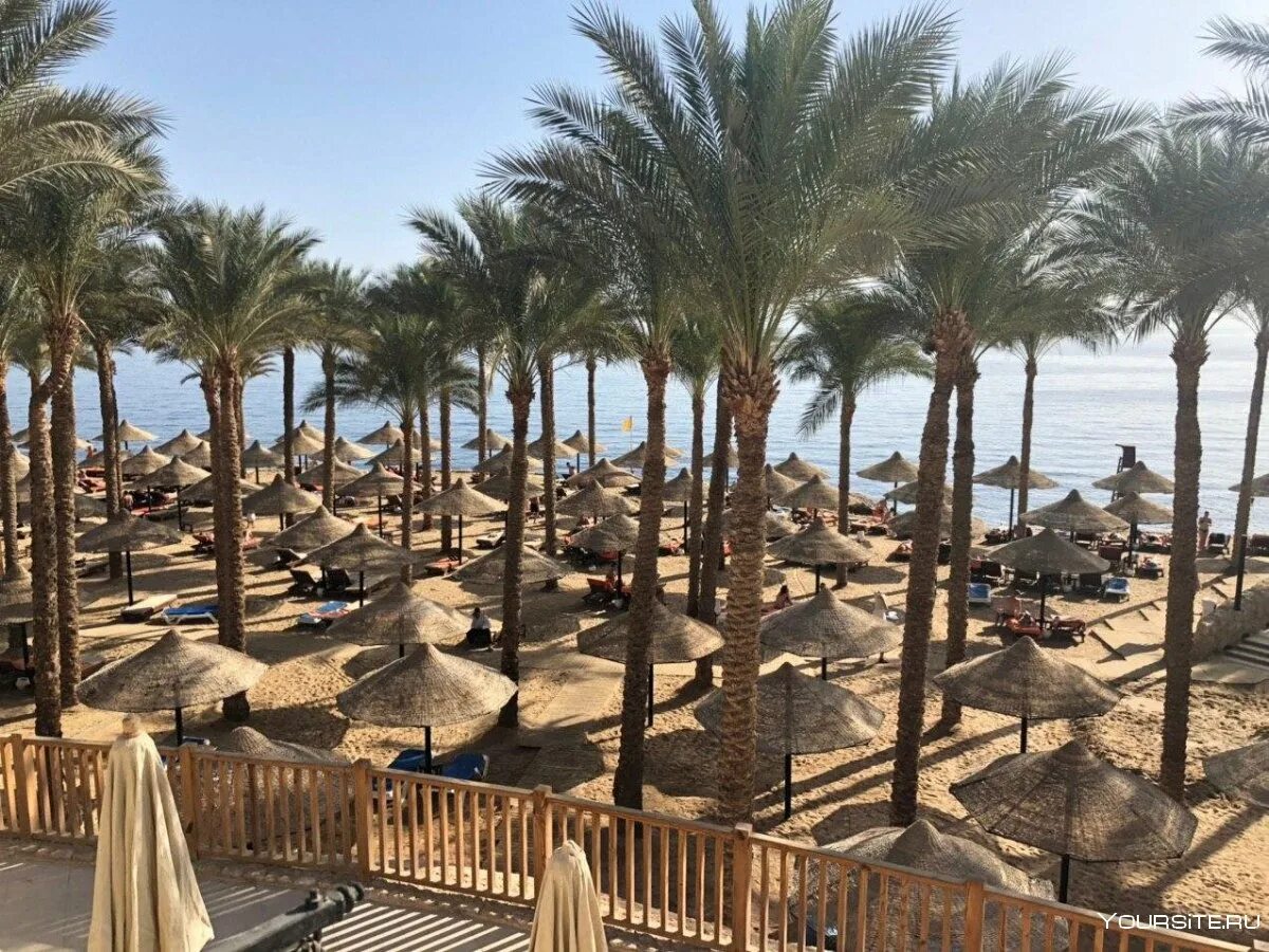 Египет шармаль Шейх. Пляжи шармаль шейха. Шарм Эль Шейх оградили стеной. Египет Голливуд шармальшейх. Шарм эль шейх погода сейчас на 14