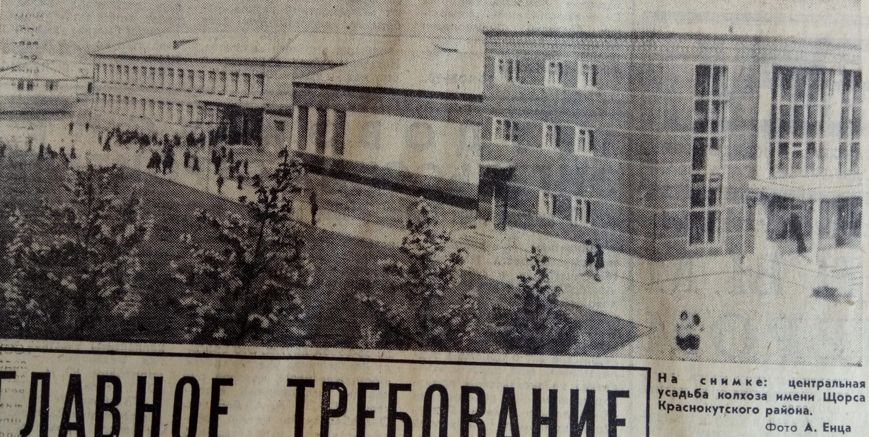 Колхоз заря псковская область. Центральная усадьба колхоза. Колхоз родина куженерского района. Центральная усадьба колхоза. Центральная усадьба колхоза.