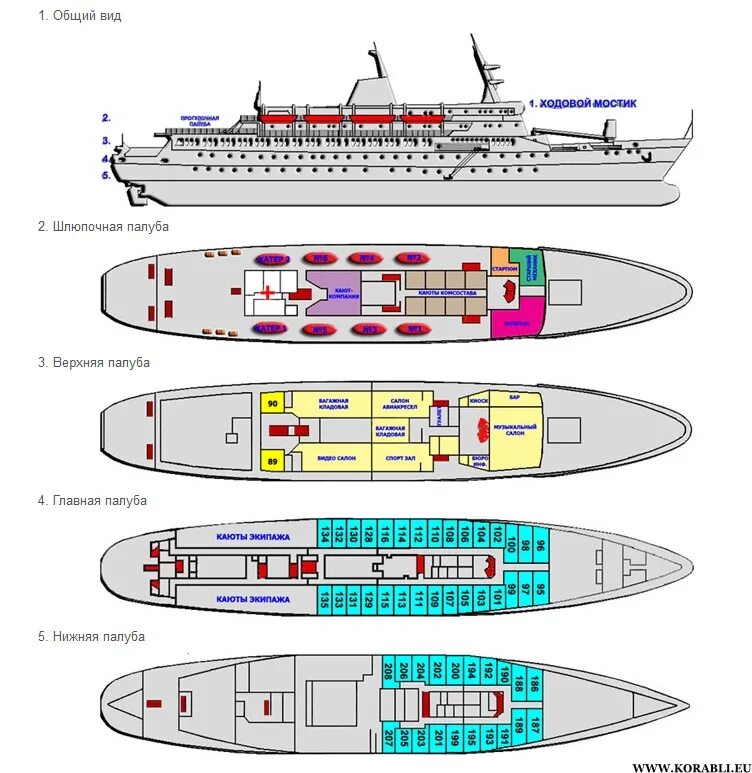 Расположение палуб