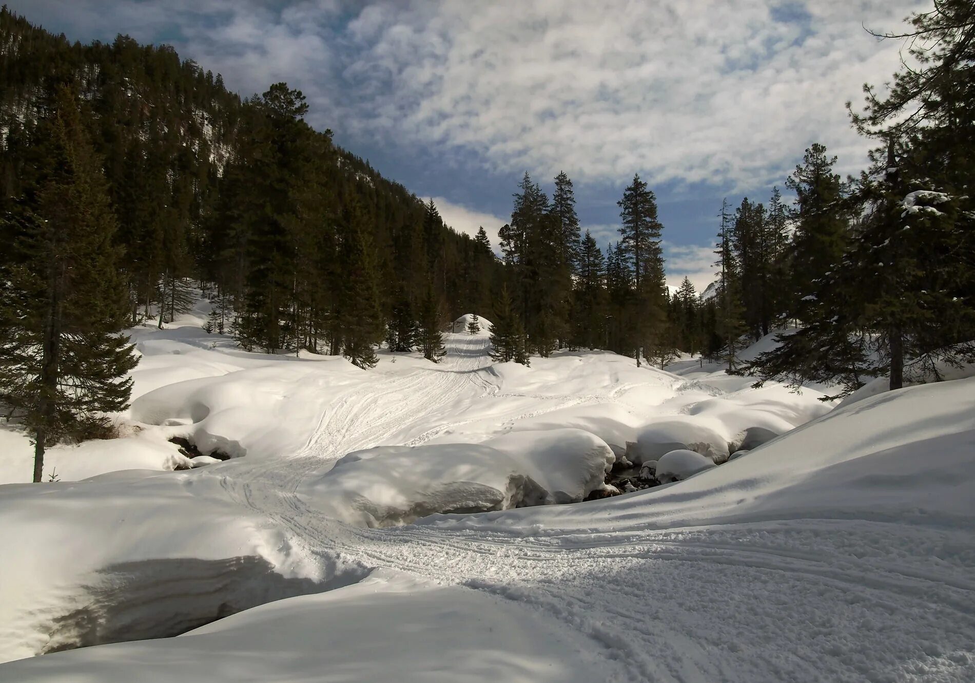 Мамай стоит у реки. Река большой мамай. Мамай хамар дабан иркутск. Виктор маторин дмитрий донской. Дмитрий донской 1378.