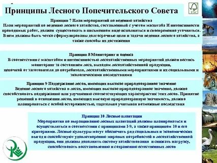 Мероприятия по лесничеству