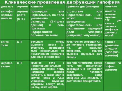 Гормон клиник