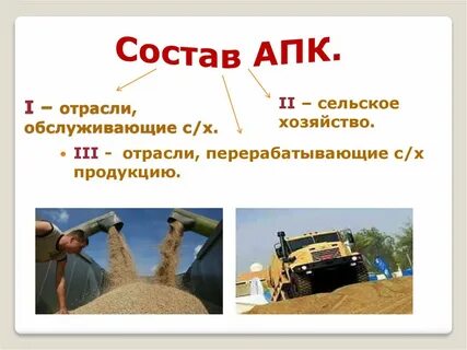 Отрасли обслуживающие сельское хозяйство