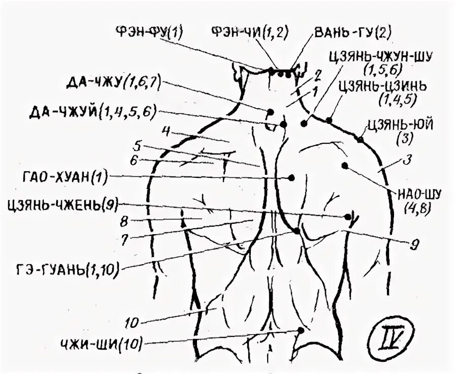 Точки на спине для расслабления. Точки на спине для массажа. Точки на спине для массажа для расслабления мышц. Точечный массаж спины.