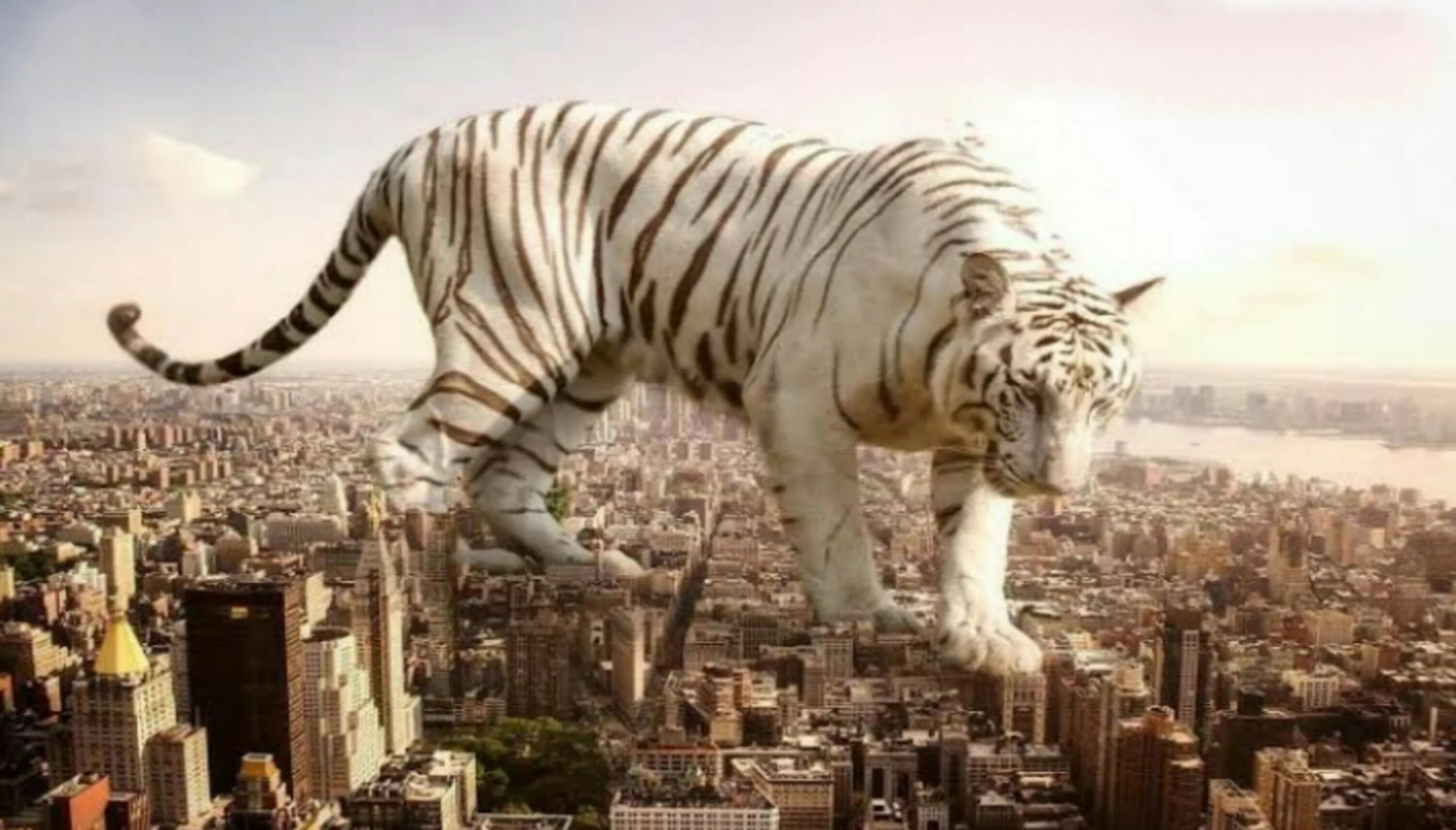 Масса самого большого животного на земле. Гигантские животные. Гигантские звери. Животные гиганты мира. Огромные животные в городе.