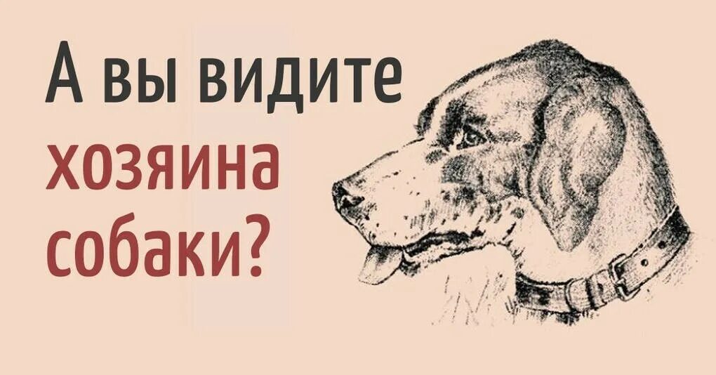 Где собака ответы
