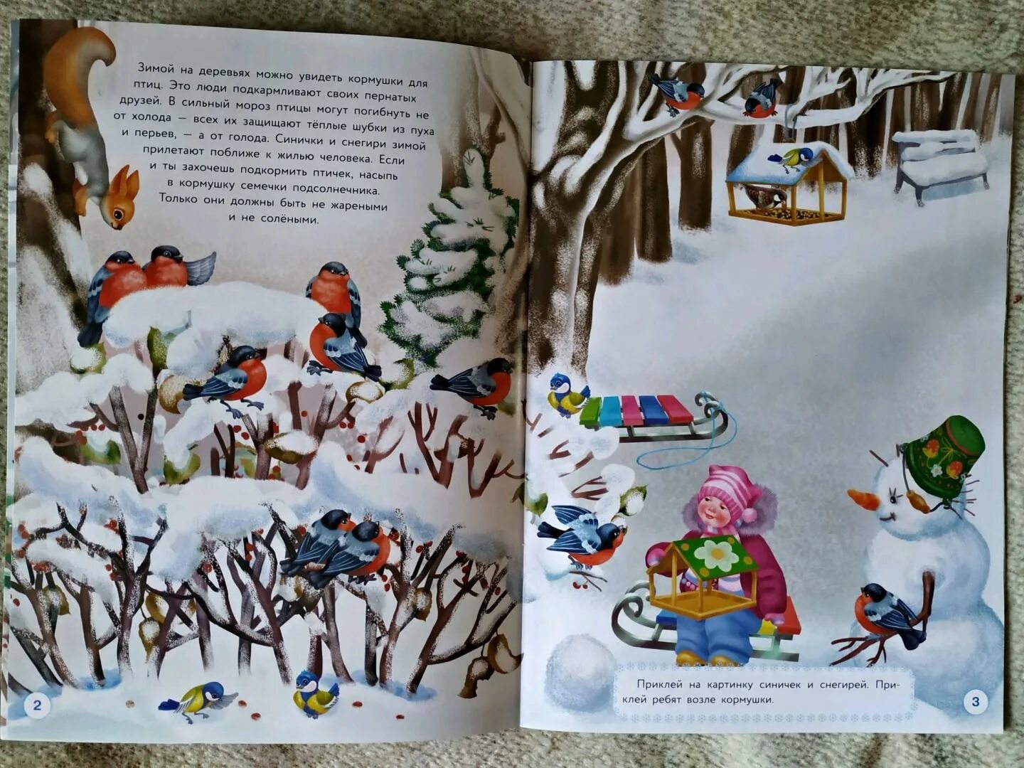 Книги о зиме. Книги о зимующих птицах. Книга птицы зимой. Детские книги о зимующих птицах. Книжка зимующие птицы.