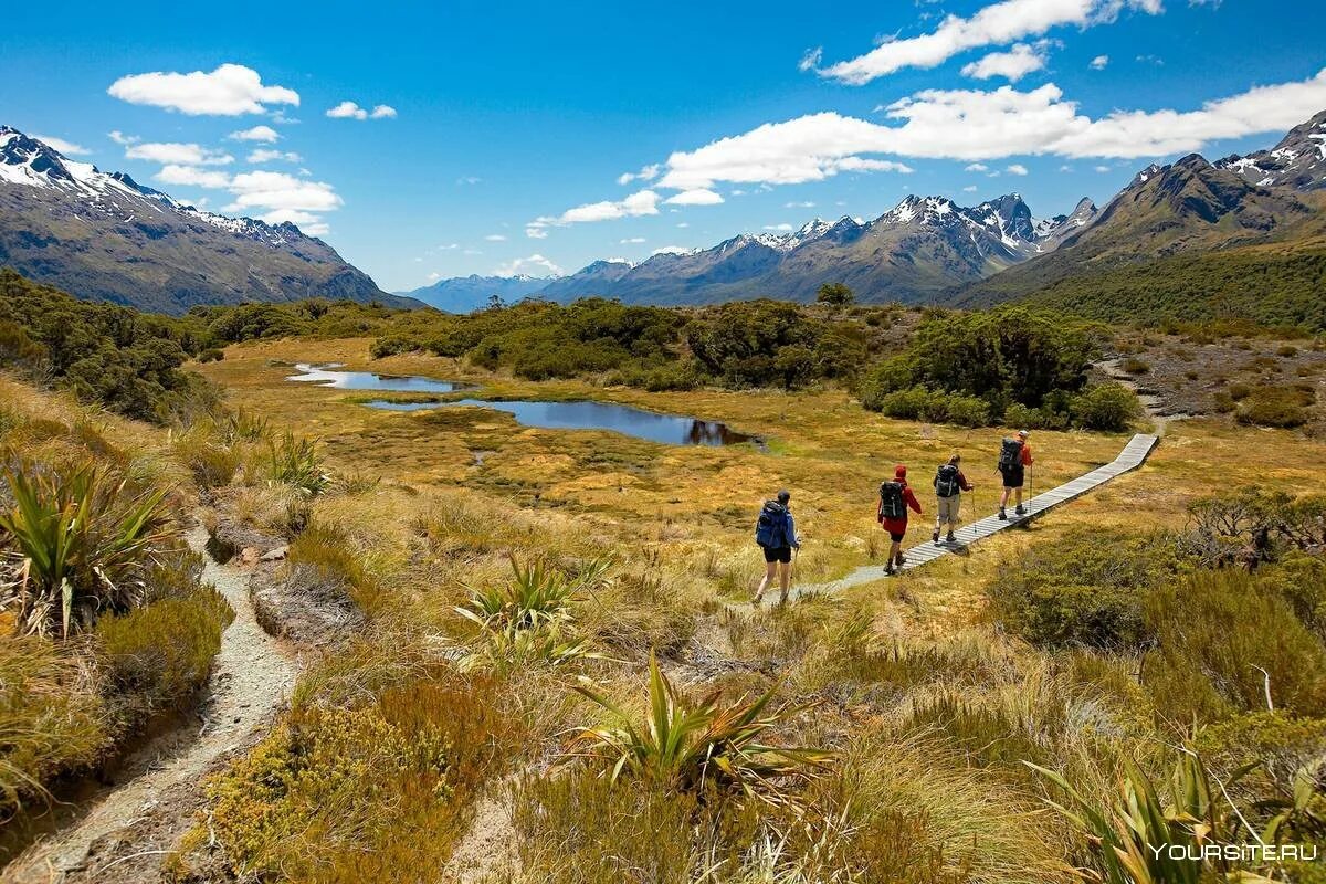 New zealand ответы. Тропа Рутберн новая Зеландия. Хайкинг в новой Зеландии. Милфорд трек новая Зеландия. Routeburn track.