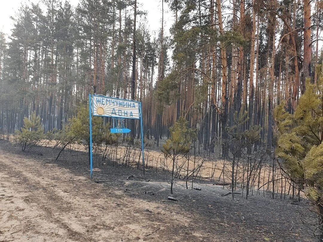 Погода николаевка павловский воронежской. Село Николаевка Воронежская область Павловский район. Пожар в Николаевке Воронежской области Павловского района. Пожар в селе Николаевка Воронежской области. Село Черкасское Павловского района Воронежской области.