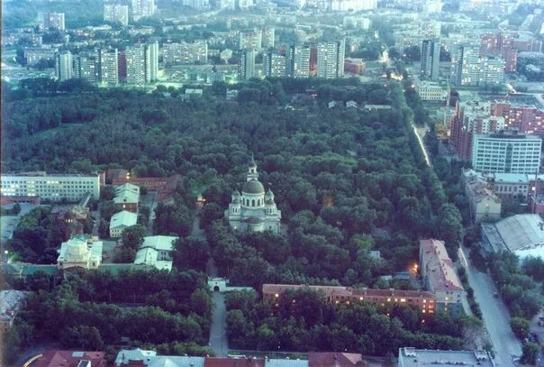 Реконструкция Зеленой рощи вызвала шквал критики и мобилизовала студентов на охр