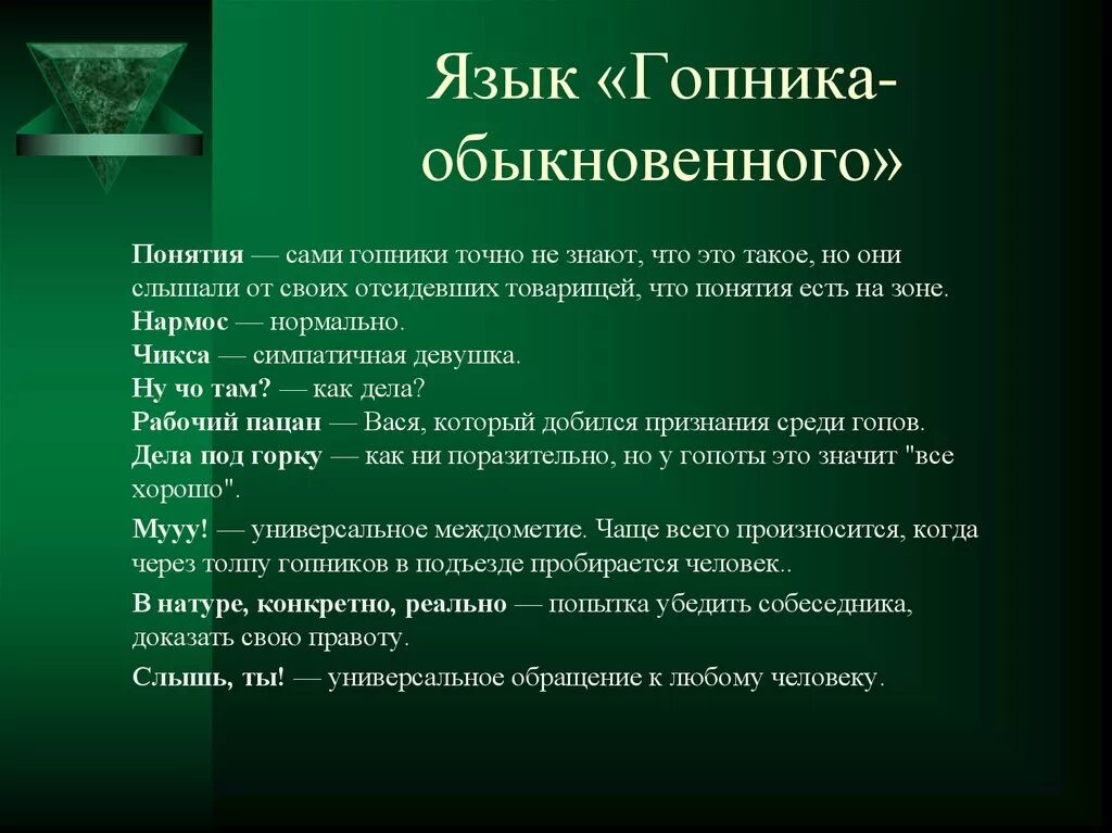 Как говорить по понятиям. Понятия гопников. Язык гопников. Выражения гопников жаргонные. Сленг гопников словарь.