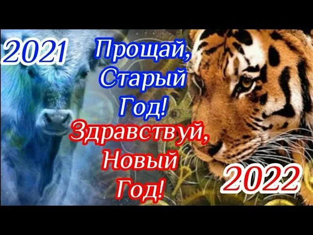 Прощай друг. Прощай старый друг песня. Прощай старый друг песня. Прощай старинный друг. Прощай старый друг fun mode.