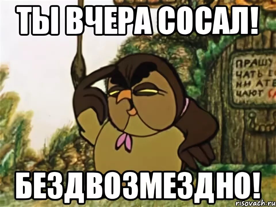 А я думала сова мем. А я думала сова. совунья мем. а я думала сова картинка.