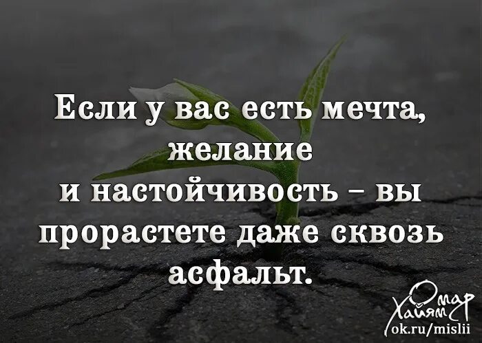 Появилось сильное желание. Высказывания о мечте и цели. Афоризмы о мечте и цели. Высказывания о мечтах и желаниях. Цитаты про желание и возможность.