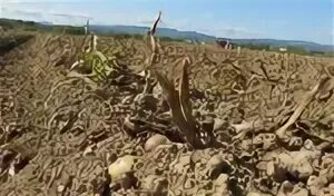 Сахалинская область на карте. Особо охраняемые природные территории сахалинской области. Какая почва на сахалине. Почвы сахалина. Почвы сахалинской области.