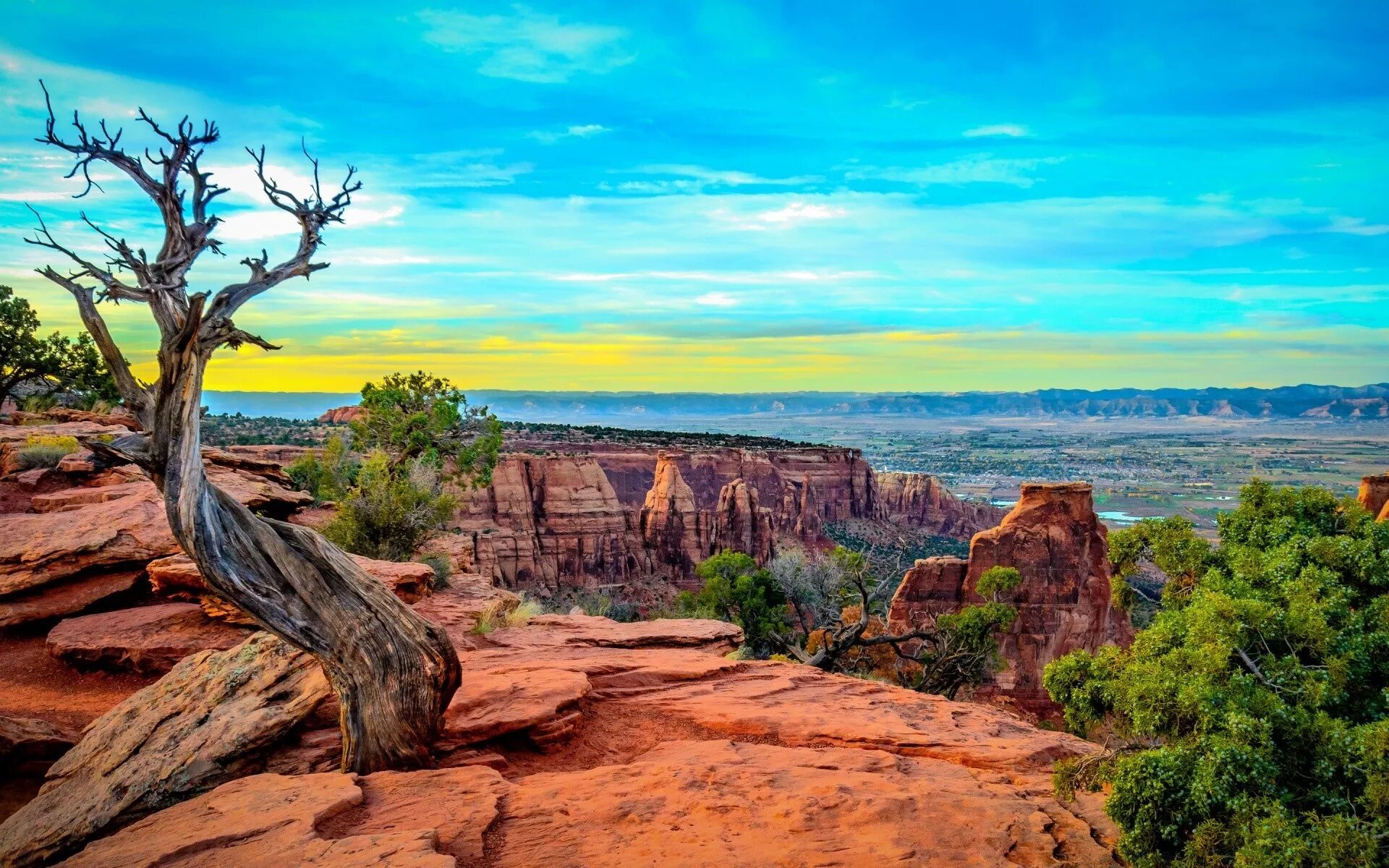 Какая природа в северной америке. Северная Америка каньон Колорадо. Гранд каньон Калифорния. Техас Гранд каньон. Калифорния штат Колорадо.