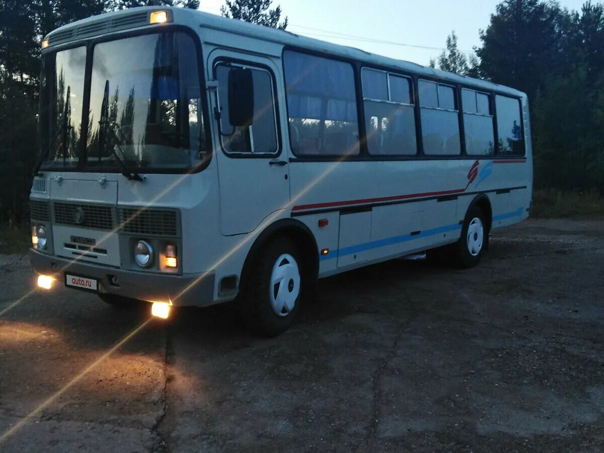 паз 32054. паз 4234 рестайлинг. 4234. паз 4234.