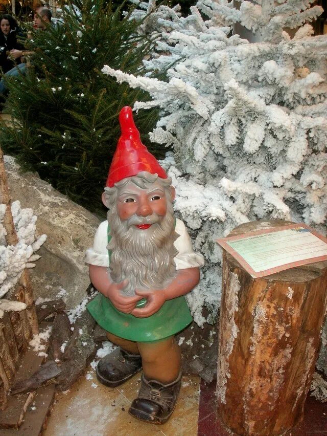 гном живой. гном реалистичный. гном живой. гномы живые. гномы живые.