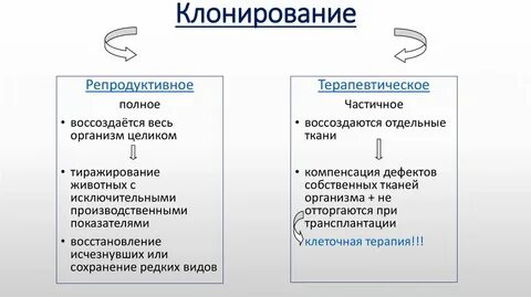 Проблемы клонирования