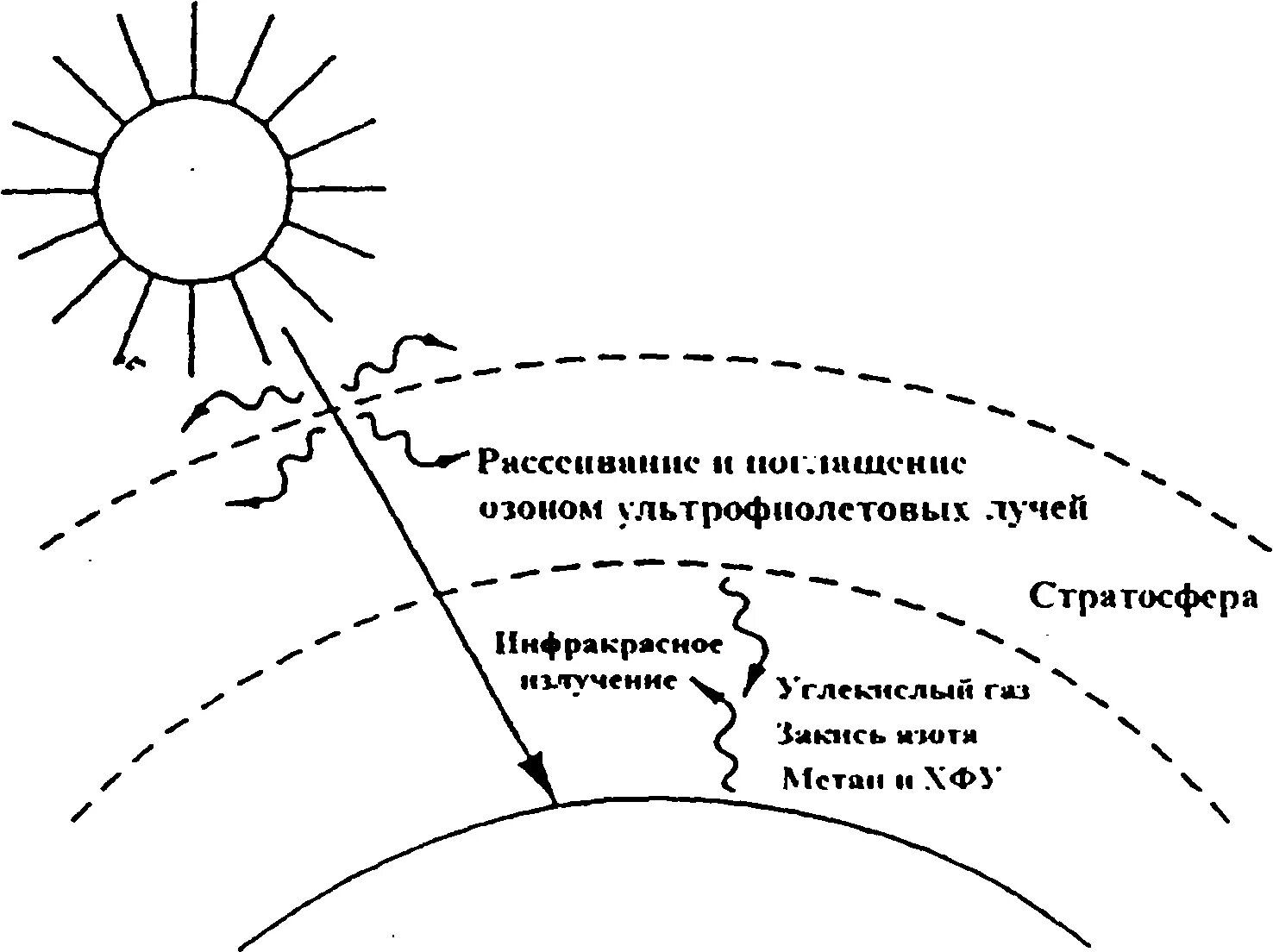Озоном перенос. Озон перенос сроков доставки. Время доставки озона. Схема образования озонового слоя. Содержание озона в атмосфере.