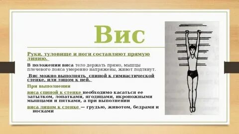 Что значит туловище