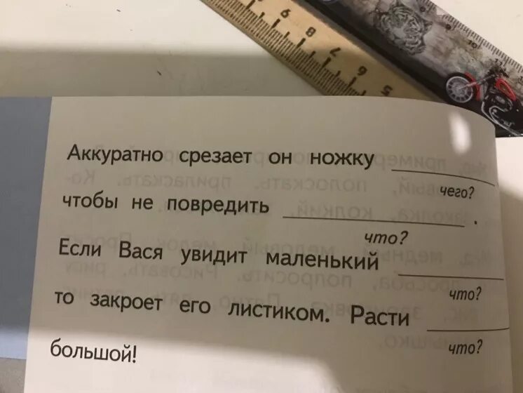 Вставить нужные слова. Однокоренные слова с корнем гриб. Вставь слова по смыслу.