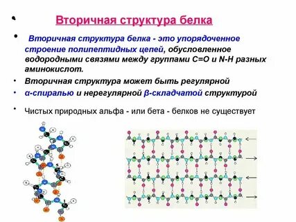 Нерегулярная вторичная структура