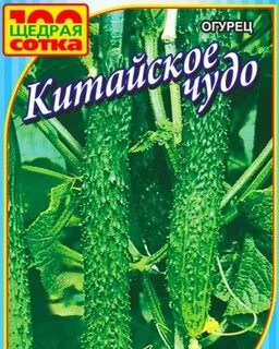 Чудо огурец