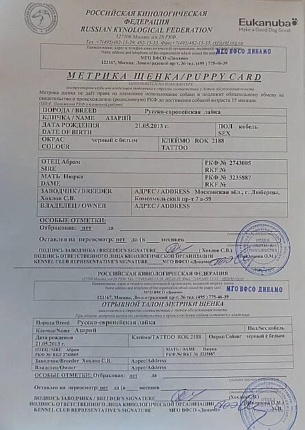Щенячку на родословную