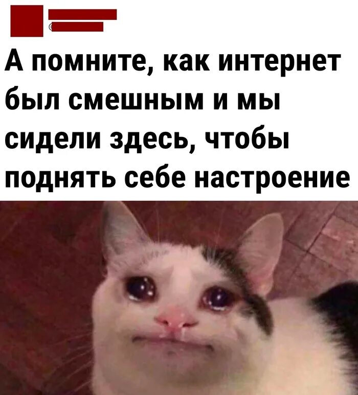 Я тут недавно вспомнил как сидели мы