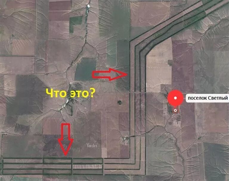 государственная защитная лесополоса калитва пенза. лесозащитная полоса белая калитва пенза. лесополоса белая калитва пенза. защитная лесополоса белая калитва. лесополоса белая калитва пенза.