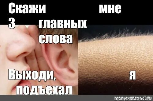 Подъезжаю выходи
