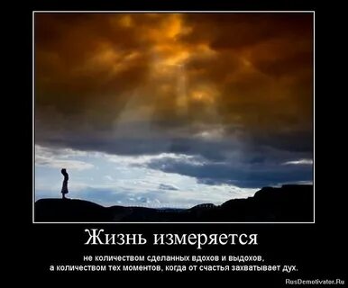 Жизнь состояла из лета