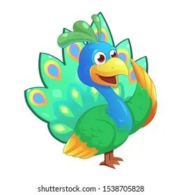 As happy as a peacock