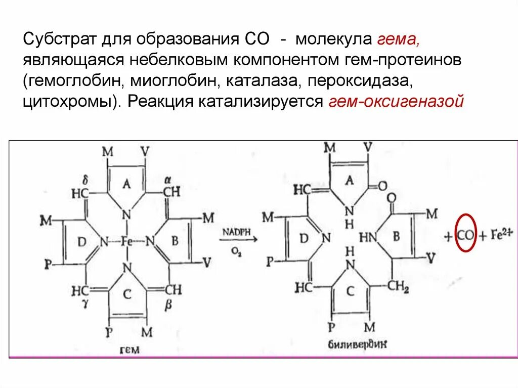 Субстратом для каталазы является. Субстратом для каталазы является