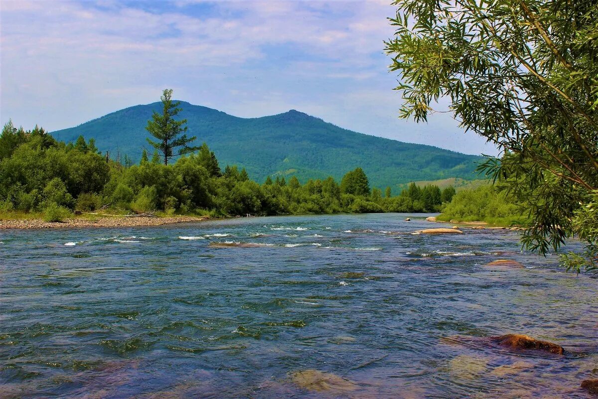река абакан хакасия. абаза хакасия река. река енисей саяногорск. река енисей. вода хакасии.