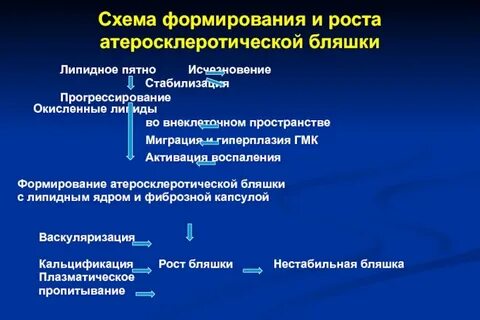 Формирование бляшки