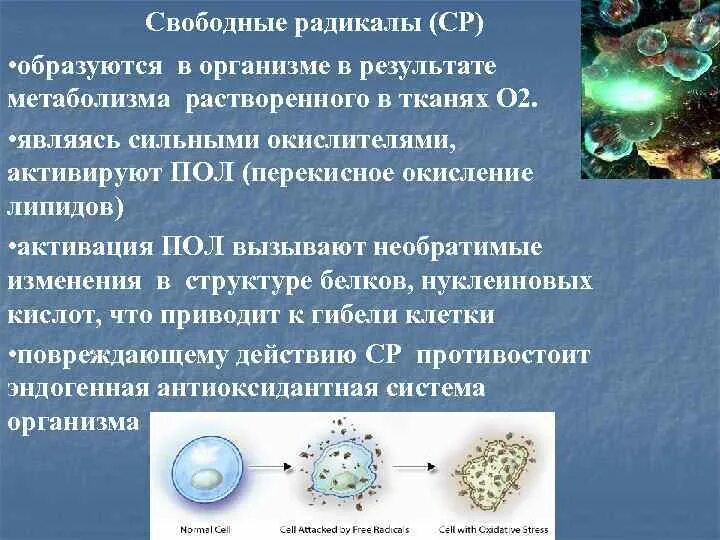 Система радикалов. Свободные радикалы в организме. Свободный радикал образуется. Образование свободных радикалов в организме. Причины возникновения свободных радикалов.