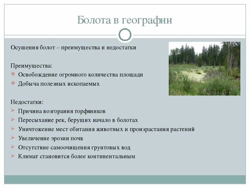 Осушение болот способствует охране леса. Осушение торфяников. Осушение болот способствует охране леса. Осушение болот способствует охране леса. Осушение болот способствует охране леса.