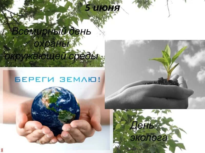 Охрана окружающей среды информация для детей. День окружающей среды. День Всемирный день окружающей среды. День охраны окружающей. 5 Июня день охраны окружающей среды.