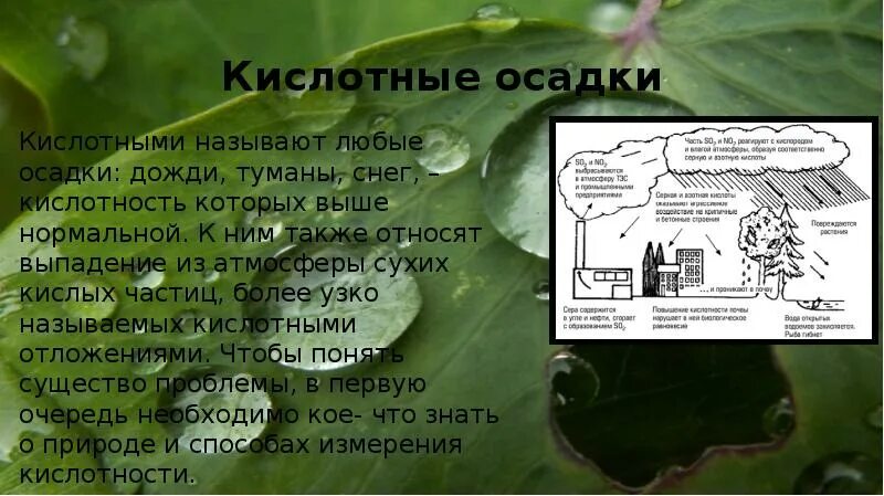 Что такое кислотный дождь кратко. Кислотные осадки. Кислотные дожди. Кислотные дожди и окружающая среда доклад. Кислотные осадки доклад.