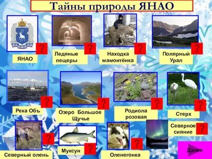 Класс янао