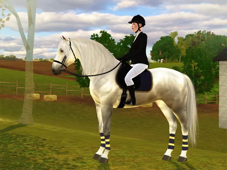 Horse sim. The SIMS 3 питомцы Андалузская лошадь. SIMS 3 лошади. SIMS 4 лошади. Симс 3 питомцы лошади.