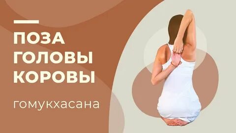 Поза коровы