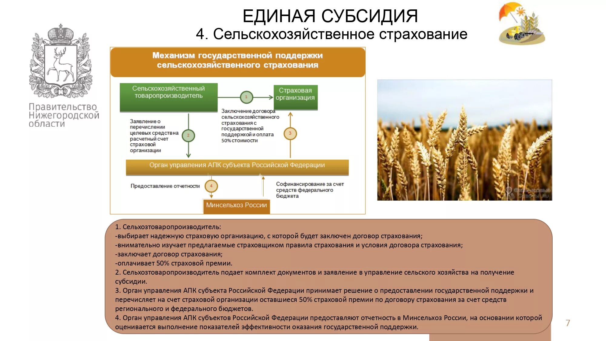 Страхование заключенных рф