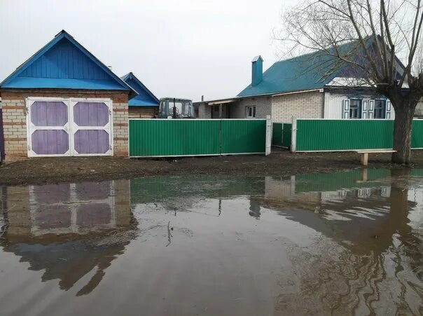 П шарап. Новый шарап. шарап новосибирская область. новый шарап новосибирская область. деревня новый шарап новосибирская.
