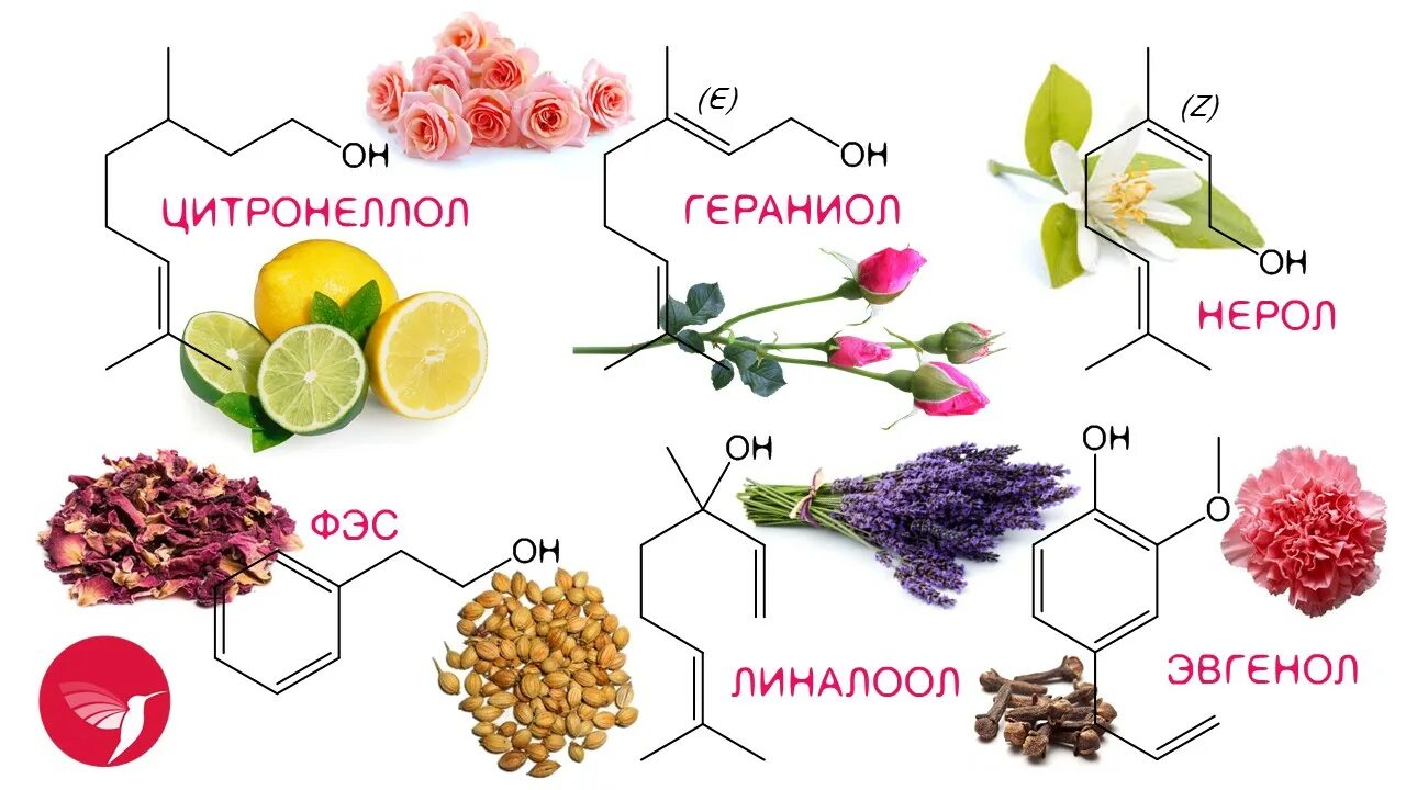 Гераниол что это. Citronellol. Цитронеллол структурная формула. Эвгенол. Эвгенол структурная формула.