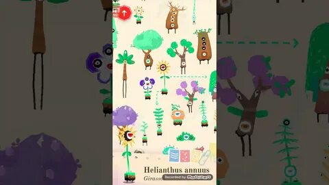 Toca plants