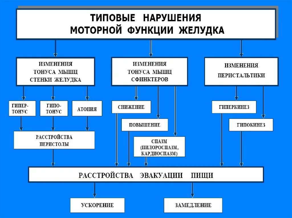 Расстройство двигательной функции. Нарушение функции желудка патофизиология. Нарушение моторной функции желудка патофизиология. Формы расстройства секреторной функции желудка.. Нарушение секреторной функции желудка патофизиология.